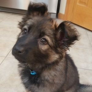 Meet your Posher, Tyler